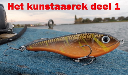 Artikel Roofvisweb Buster Frans Oomen.jpg